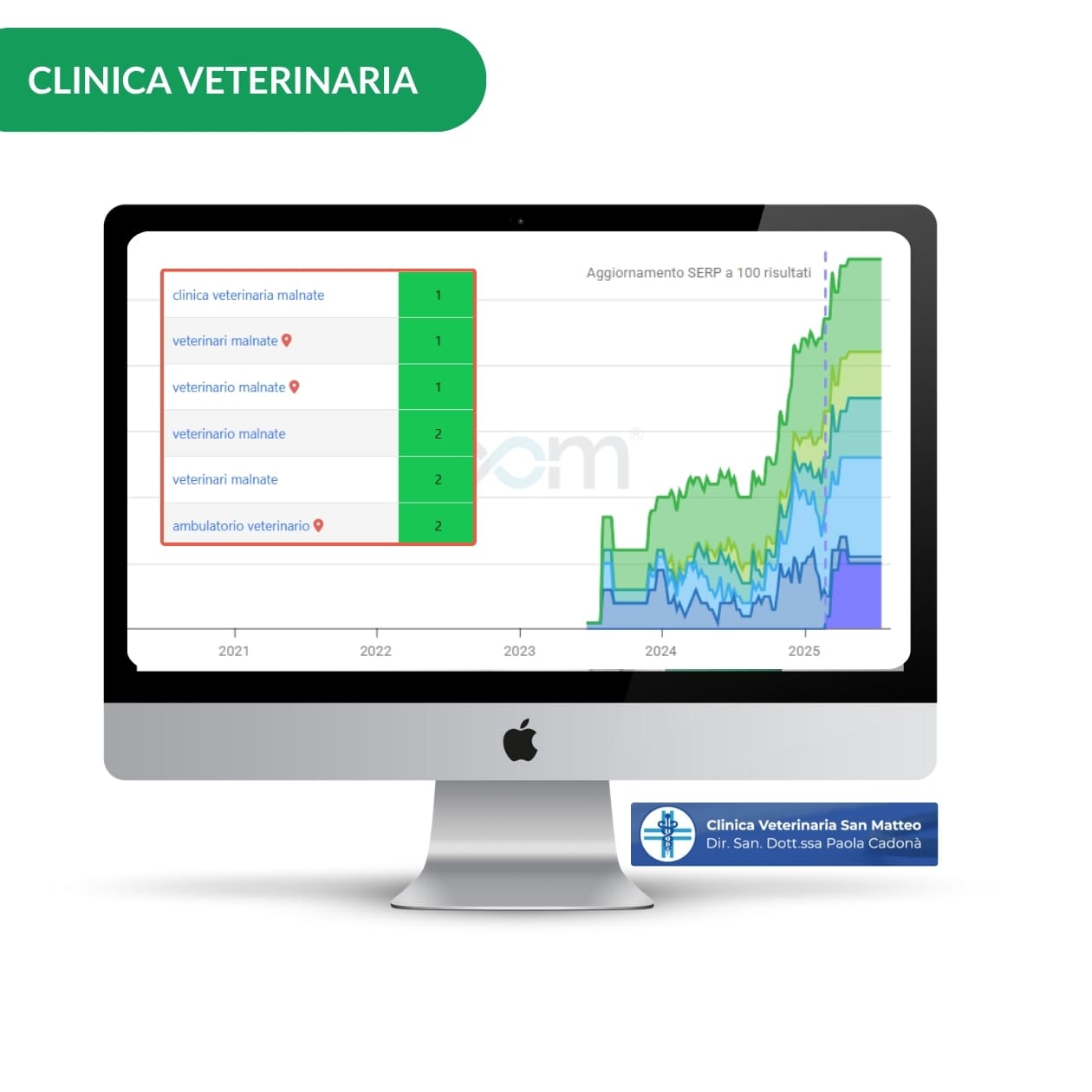 seo sito veterinario